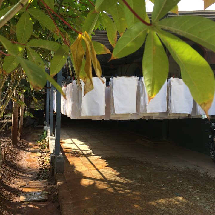 Khadi papers drying outdoors ~ under cover