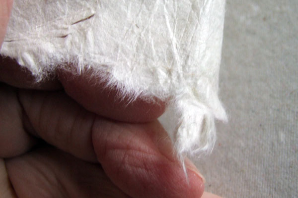 A tear in Lokta paper