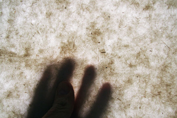 Demonstrating the translucentcy of Lokta paper