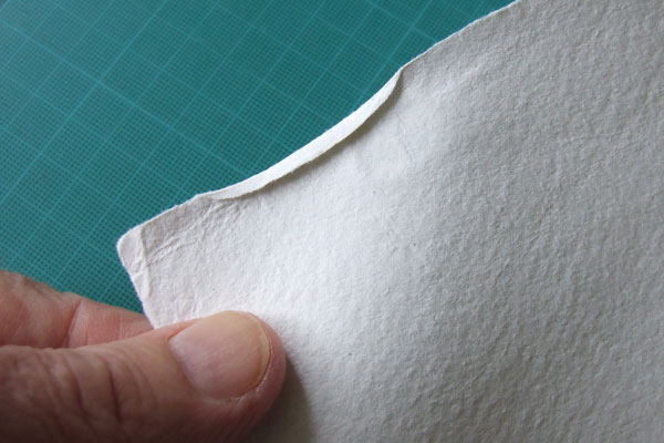 Description of a picture