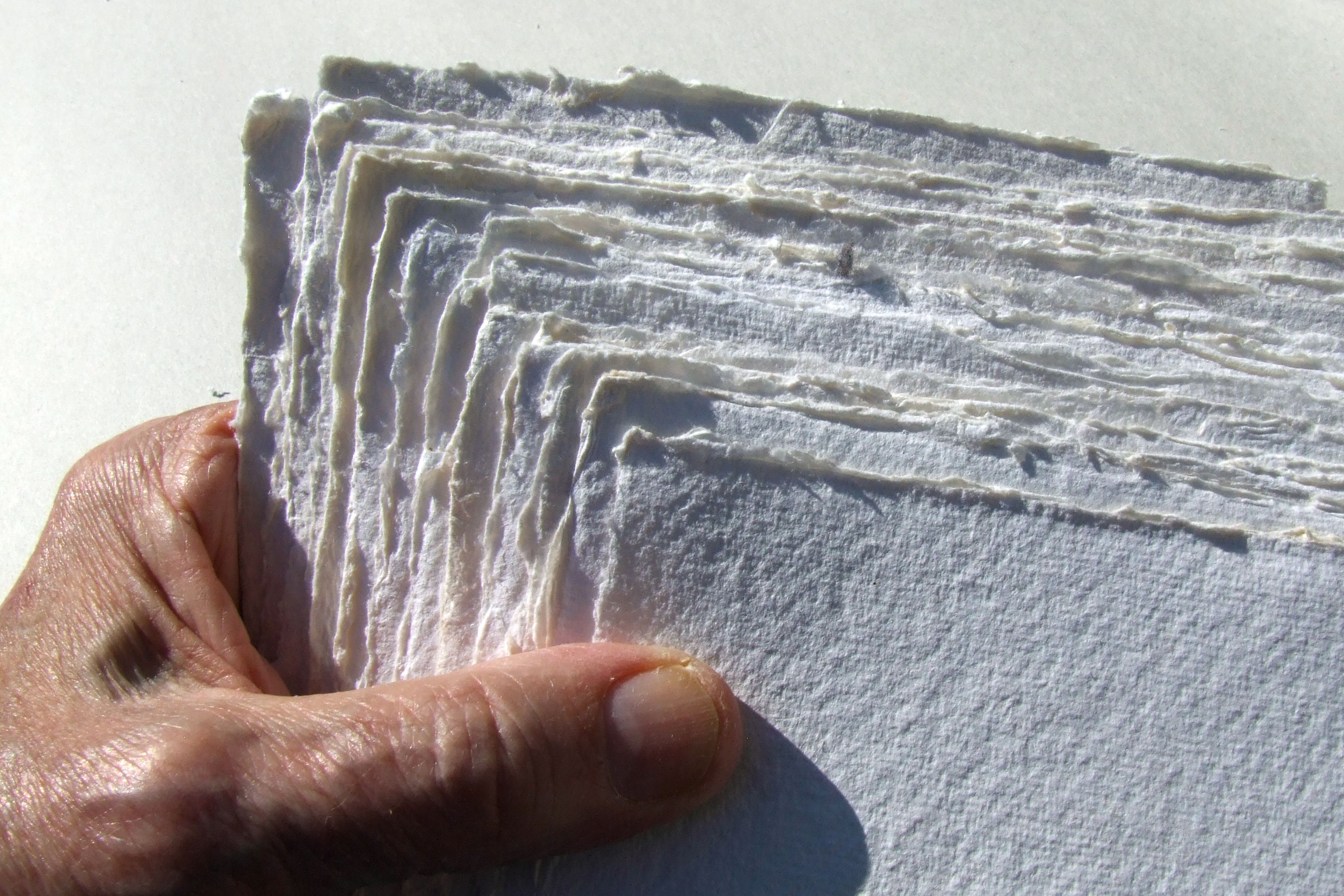 Description of a picture